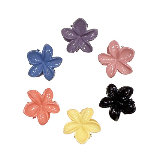 Small Hawaii Flower Claw Clips - Set of 6